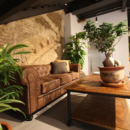Vtz The Botanic Hostel-2